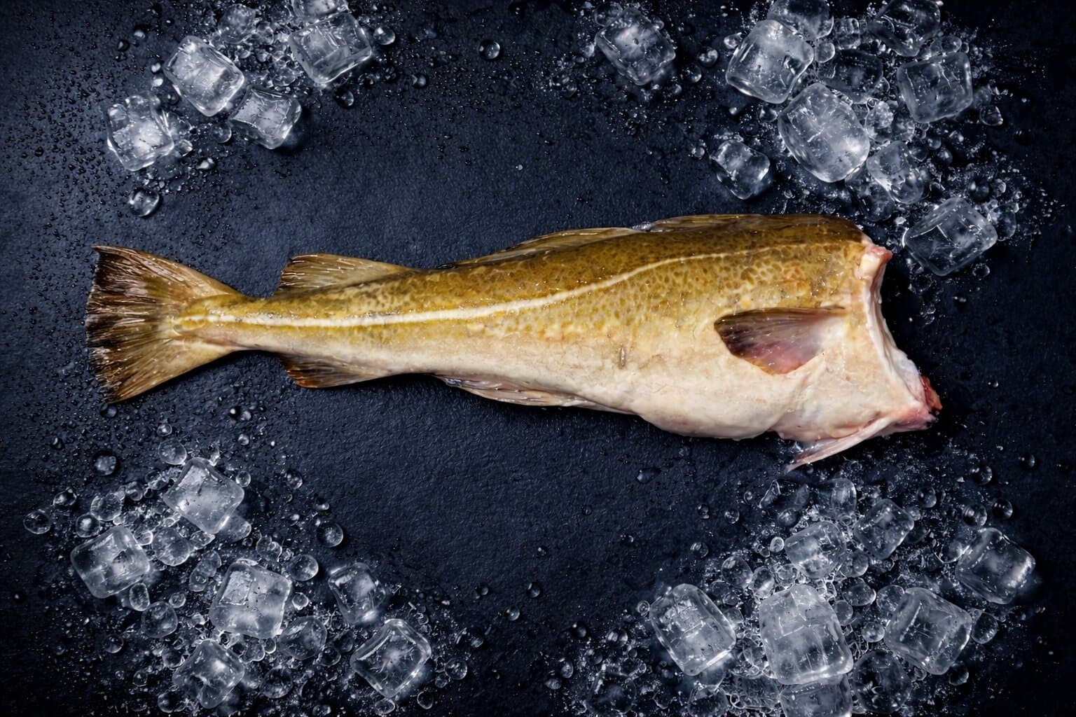 BAKALAR SVJEŽI 2-4 BEZ GLAVE